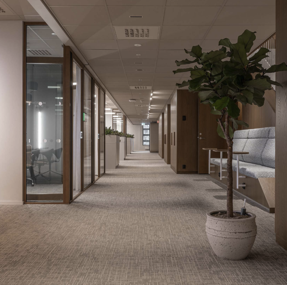 mv-panorama-eksklusiv - Mørkbeiset