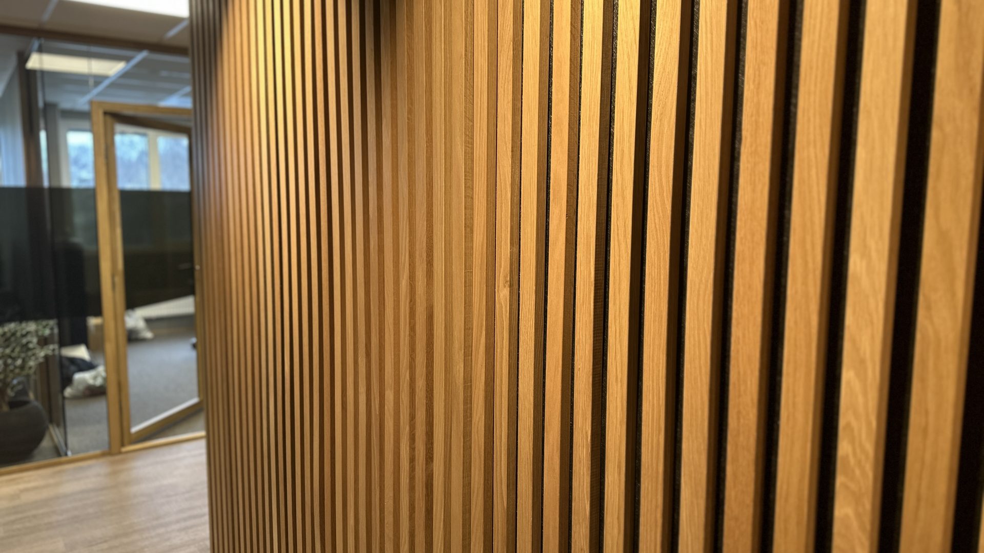 IMG_6854